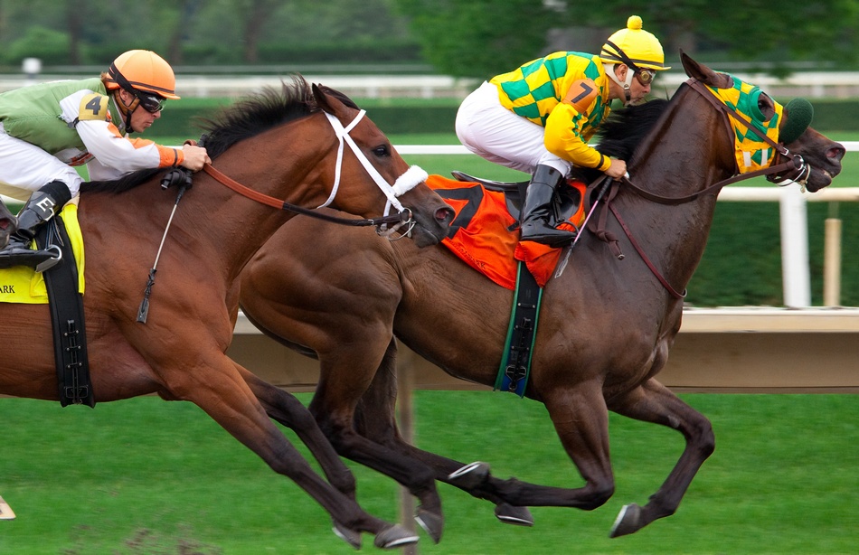 ಮಂಜುನಾಥನ ದಯೆಯಲ್ಲಿ ಕುದುರೆ ಜೂಜು: ಅನಿವಾಸಿಯ ಆಸ್ಟ್ರೇಲಿಯಾ ಪತ್ರ