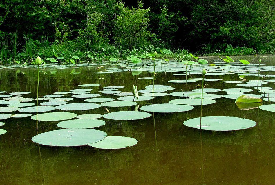 ಸದಾಶಿವ ಸೊರಟೂರು ಬರೆದ ಈ ದಿನದ ಕವಿತೆ