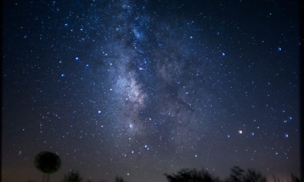 ನಕ್ಷತ್ರ ಬರೆದ ಒಟ್ಟು ಕವಿತೆಗಳು