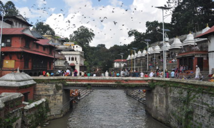 ವಾಗ್ಮತೀ ತೀರದ ಸೂತಕ ಕಥೆಗಳು:ವೈದೇಹಿ ಬರಹ