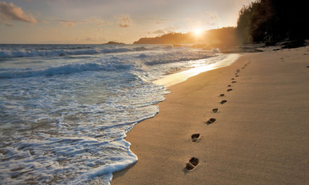 ಕಳೆದುಹೋದ ಗಿರಿಬಾಲೆಯ ಚರಿತ್ರೆ-೪