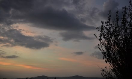 ನಾನೀಗ ಸತ್ತಂತೆ, ಮತ್ತೆ ಹುಟ್ಟಿದಂತೆ:ನಕ್ಷತ್ರ ಬರೆದ ದಿನದ ಕವಿತೆ