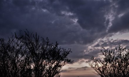 ನೀನು ಎಂದರೆ ಏನು ನನಗೆ?:ನಕ್ಷತ್ರ ಬರೆದ ದಿನದ ಕವಿತೆ