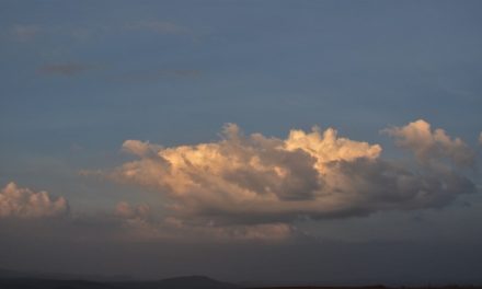 ಈ ಮಿಂದ ಕೂದಲುಗಳು:ನಕ್ಷತ್ರ ಬರೆದ ದಿನದ ಕವಿತೆ