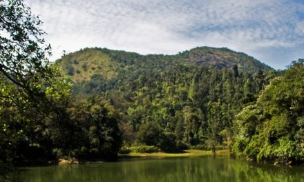 ನನಗೆ ಮೀಯುವ ಹುಚ್ಚು:ನಕ್ಷತ್ರ ಬರೆದ ದಿನದ ಕವಿತೆ