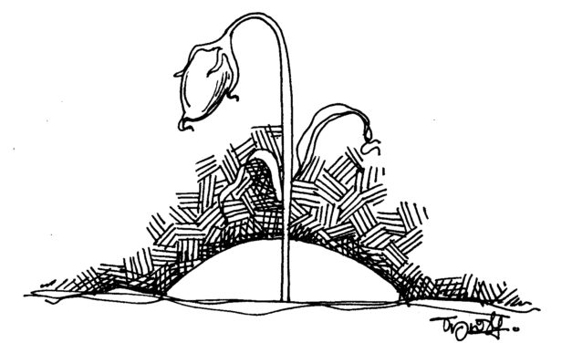 ವಸ್ತಾರೆ ಬರೆದ ದಿನದ ಕವಿತೆ  ` …..ಒಬ್ಬಳು’