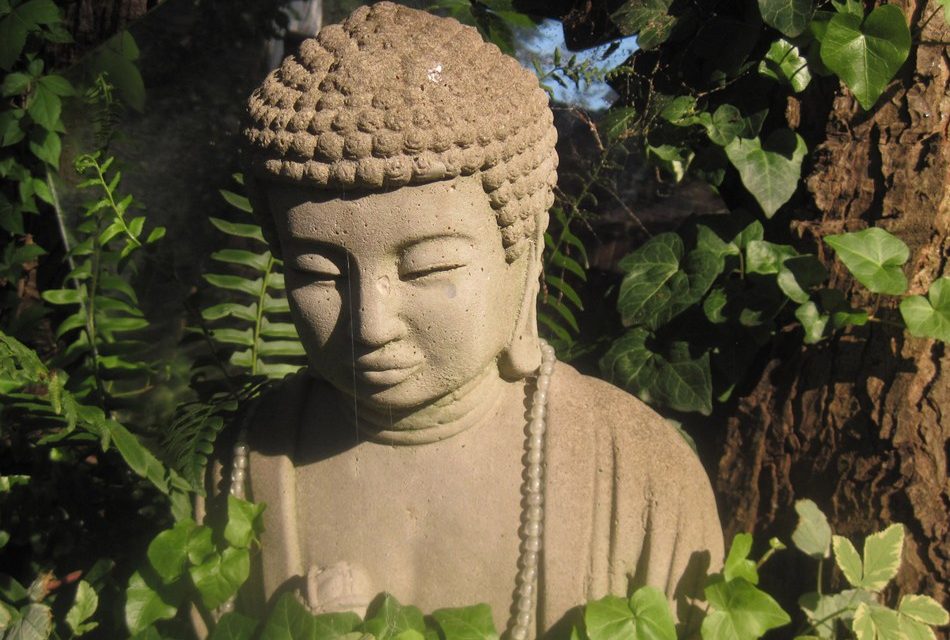 ತರೀಕೆರೆ ಏರಿಯಾ: ಧಮ್ಮದೀಕ್ಷೆಯೂ, ಯಶೋಧರೆಯರ ಕಷ್ಟಗಳೂ