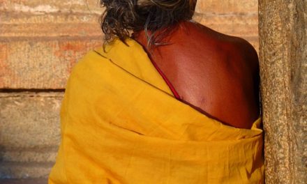 ವೈದೇಹಿ ಬರೆದ ಕಳೆದುಹೋದ ಗಿರಿಬಾಲೆಯ ಚರಿತ್ರೆ