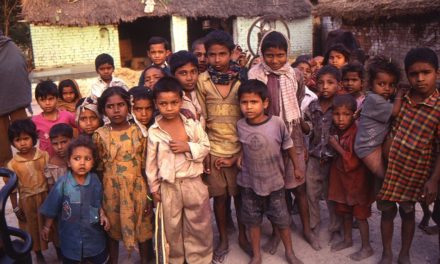 ಮಂಗನ ಜೊತೆ ತಾವೂ ಸಾಯುತ್ತಿರುವ ಕಾಡಮಕ್ಕಳು