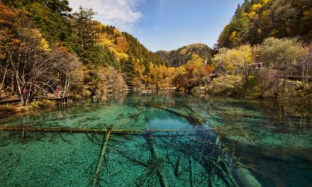 ಚೀನಾದ ಸಿಚುವಾನ್ ಪ್ರಾಂತ್ಯದ ಯಾನ್ ಮತ್ತು ಚೆಂಗ್ಡುವಿನಲ್ಲಿ