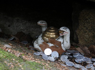 ನೆಟ್ಟಲ್ಲಿ ಕಮೆಂಟು ಎರಡು ಮಂಡೆಯ ಹಾವು ಕಾಣೋ