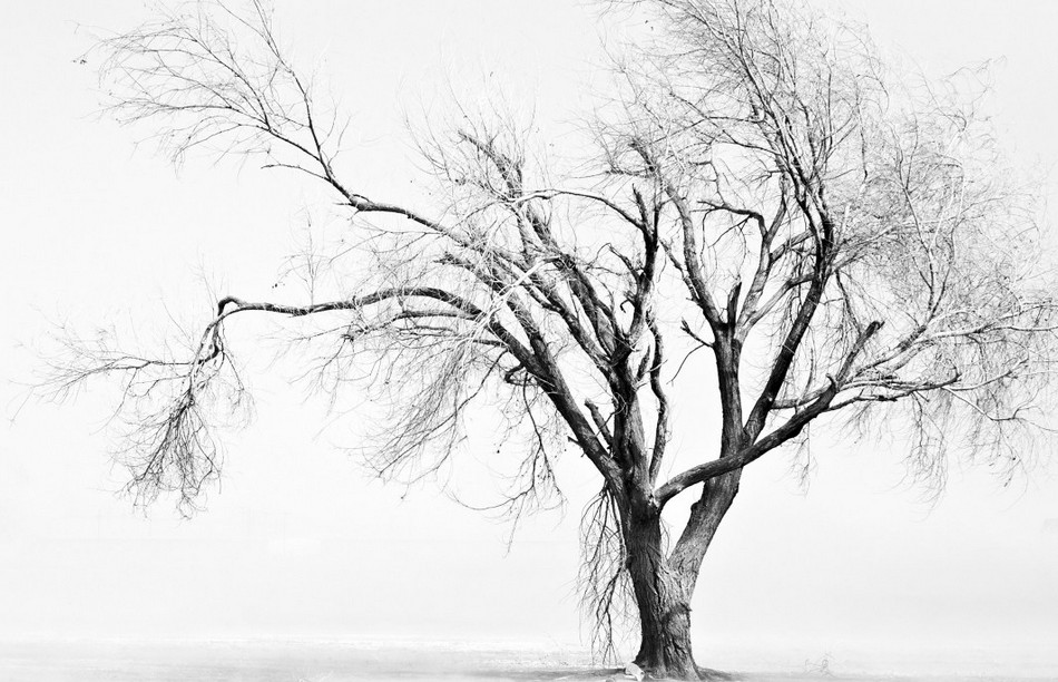 ಬಿಸಿಲುಕೋಲು- ನಿಸರ್ಗವನ್ನು ಅರಿತೆವು ಎಂಬ ಒಣ ಹಮ್ಮು