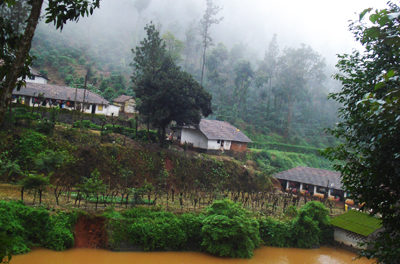 ಹಂಚಿಕೊಳಲಿನ ಅನುಬಂಧಗಳು: ನಾಗಶ್ರೀ ಅಂಕಣ