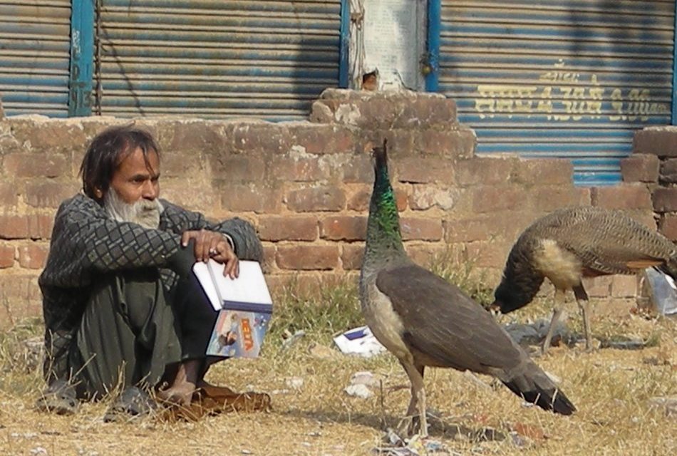 ತರೀಕೆರೆ ಕಾಲಂ: ಹಕ್ಕಿದನಿಗೆ ಯಾವ ಅರ್ಥವಿದೆ?
