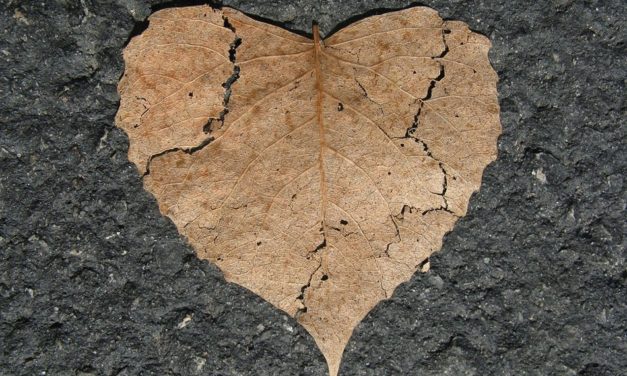 ಕೆ.ಟಿ ಗಟ್ಟಿ ಬರೆಯುವ ಬಿಸಿಲುಕೋಲು -ಭೂಮಿಯ ದುಃಖಗಳ ಲೆಕ್ಕಾಚಾರ