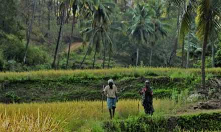 ಹೇಮಾ ಬರೆಯುವ ಅಪ್ಪನ ನೆನಪುಗಳು