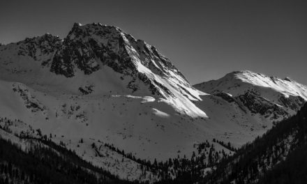 ಬಾಯರಿ ಮಾಸ್ತರು ಪೆಜತ್ತಾಯರಿಗೆ ದಯಪಾಲಿಸಿದ ಚಿತ್ರ