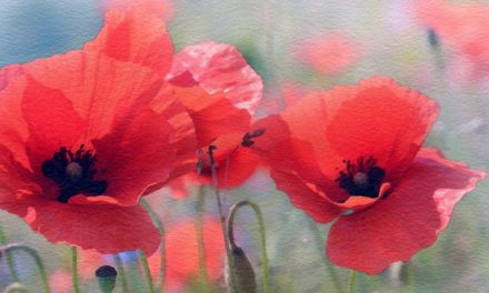 ಭಾನುವಾರದ ಸ್ಪೆಷಲ್ – ಎಸ್.ಮಂಜುನಾಥ್ ಬರೆದ ಕವಿತೆ-ಸಹಜ ಒಳಿತಿಗೊಂದು ಸಮಾರಂಭ