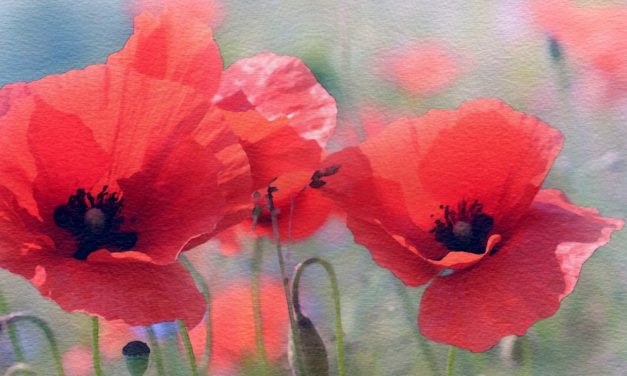 ಭಾನುವಾರದ ಸ್ಪೆಷಲ್ – ಎಸ್.ಮಂಜುನಾಥ್ ಬರೆದ ಕವಿತೆ-ಸಹಜ ಒಳಿತಿಗೊಂದು ಸಮಾರಂಭ