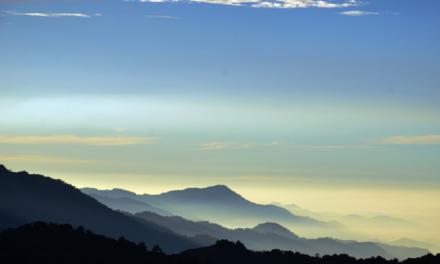 ಜೀವನವೆಂಬ  ಆಹಾರ ಚಕ್ರ: ಅಬ್ದುಲ್ ರಶೀದ್ ಅಂಕಣ