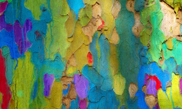 ಸರ್ವಮಂಗಳ ಬರೆದ ಮೂರು ಕವಿತೆಗಳು