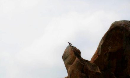 ಉತ್ತರ ದೇಶದ ಕಥೆಗಳು: ಅಬ್ದುಲ್ ರಶೀದ್ ಅಂಕಣ