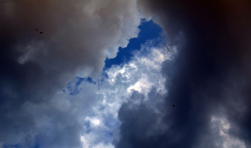 ಕವಿ ಹೃದಯ ಮತ್ತು ಕಾಡುಹಂದಿ: ಅಬ್ದುಲ್ ರಶೀದ್ ಅಂಕಣ