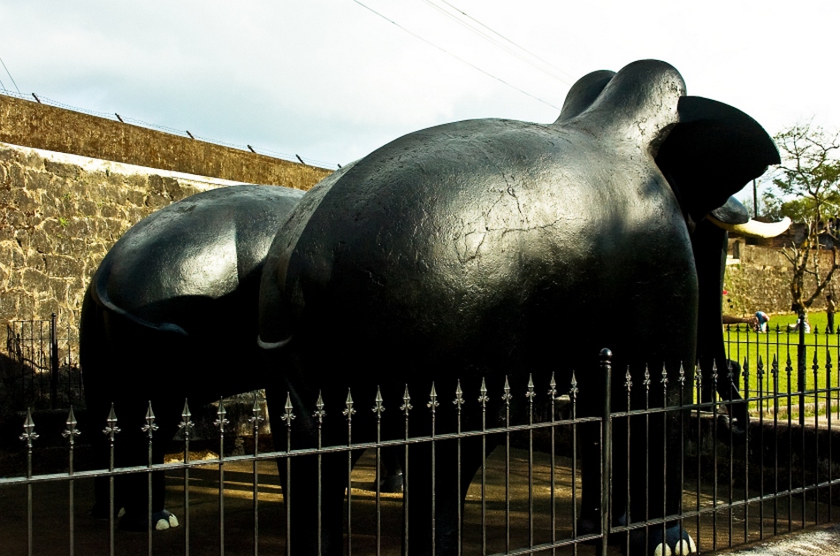 ರಾಜರ ಕಾಲದ ಬ್ರಾಯ್ಲರ್ ಕೋಳಿ: ಅಬ್ದುಲ್ ರಶೀದ್ ಅಂಕಣ