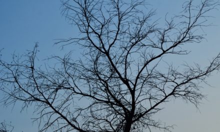 ಕನ್ನಡ ಕಾವ್ಯಲೋಕದ ಕುಸುಮ: ಈ ಯುದ್ಧ