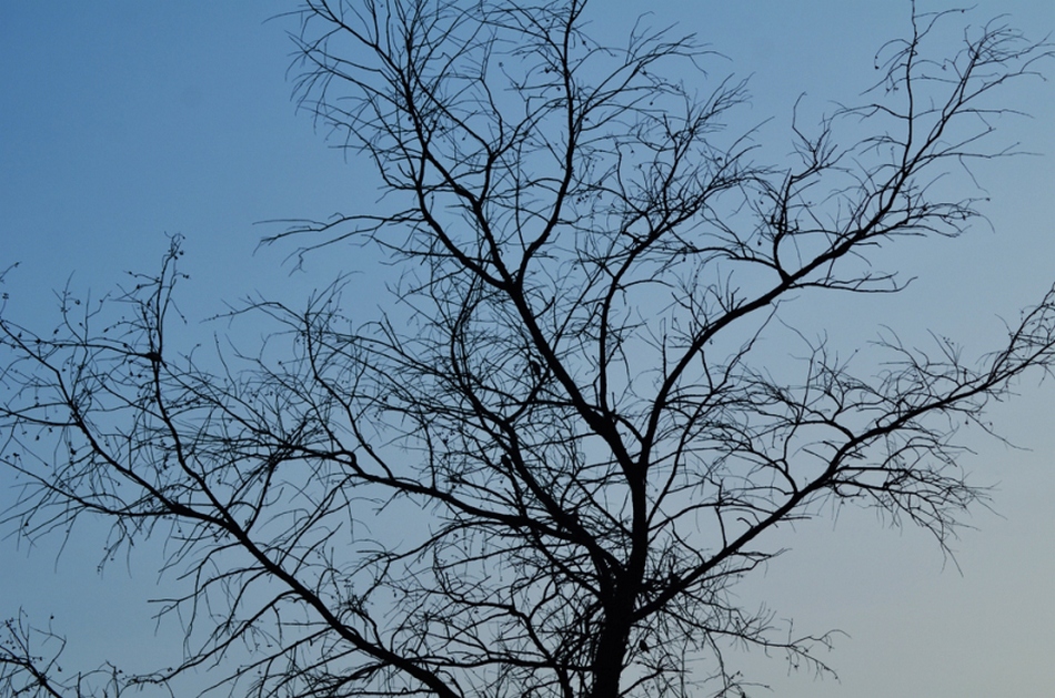 ಕನ್ನಡ ಕಾವ್ಯಲೋಕದ ಕುಸುಮ: ಈ ಯುದ್ಧ