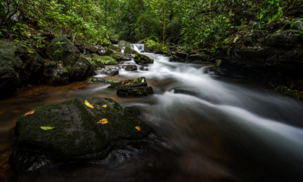 ಸುಮುಖ ಜಾವಗಲ್ ಕ್ಲಿಕ್ಕಿಸಿದ ನೀರ ಝರಿಯ ಚೆಲುವು…