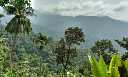 ಒಂದು ದೇಹದಾನದ ಕಥೆ: ಅಬ್ದುಲ್ ರಶೀದ್ ಅಂಕಣ