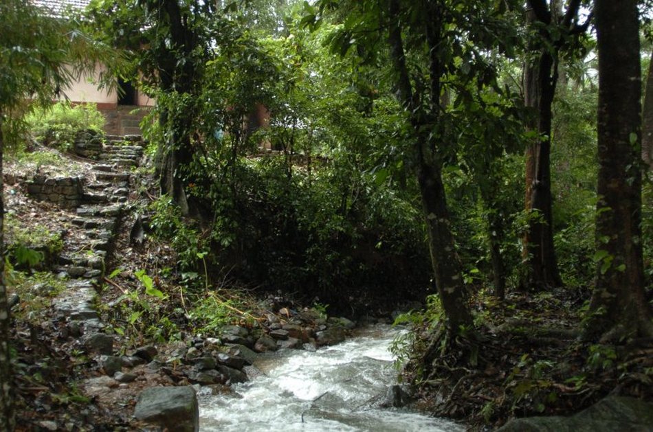 ಹೆಣ್ಣುಕೋಳಿಯ ವೃದ್ದಾಪ್ಯದ ದಿನಗಳು: ಅಬ್ದುಲ್ ರಶೀದ್ ಅಂಕಣ