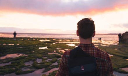 “ವಿಕಸ”ದ ಹೊತ್ತಲ್ಲಿ ಒಂದಷ್ಟು:ಅನಿವಾಸಿ ಆಸ್ಟ್ರೇಲಿಯಾ ಪತ್ರ