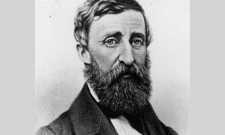 ರಗಳೆಗಳಿಲ್ಲದ ಥೋರೋನ ಲೋಕದಲ್ಲಿ: ಸಿಂಧು ಸಾಗರ ಬರೆಯುವ ಲಾವಂಚ