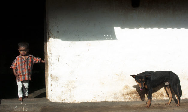 ಈ ದಿನದ ಫೋಟೋ ಕ್ಲಿಕ್ಕಿಸಿದವರು ಅಬ್ದುಲ್ ರಶೀದ್