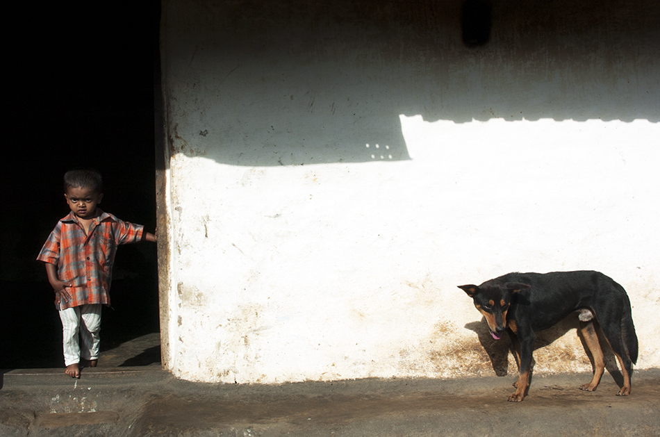 ಈ ದಿನದ ಫೋಟೋ ಕ್ಲಿಕ್ಕಿಸಿದವರು ಅಬ್ದುಲ್ ರಶೀದ್