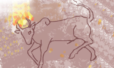 ಬಾರಿಯಂಡ ಜೋಯಪ್ಪ ಬರೆದ ಕಾಟಿಬೆಟ್ಟದ ಸರಣಿ.