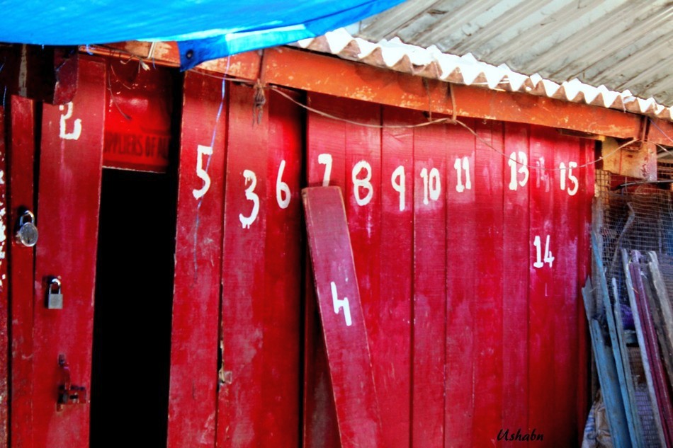 ಉಷಾ ಬಿ.ಎನ್. ತೆಗೆದ ಲೆಕ್ಕಾಚಾರದ ಬಾಗಿಲುಗಳು