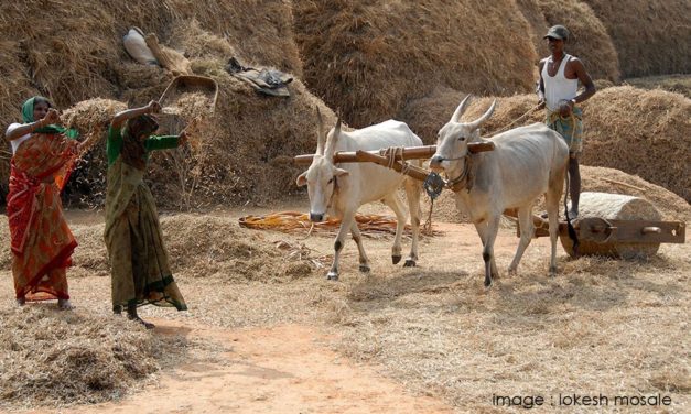 ಲೋಕೇಶ್ ಮೊಸಳೆ ತೆಗೆದ ದಿನದ ಚಿತ್ರ