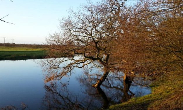 ವಿನತೆ ಶರ್ಮಾ ತೆಗೆದ ಈ ದಿನದ ಚಿತ್ರ