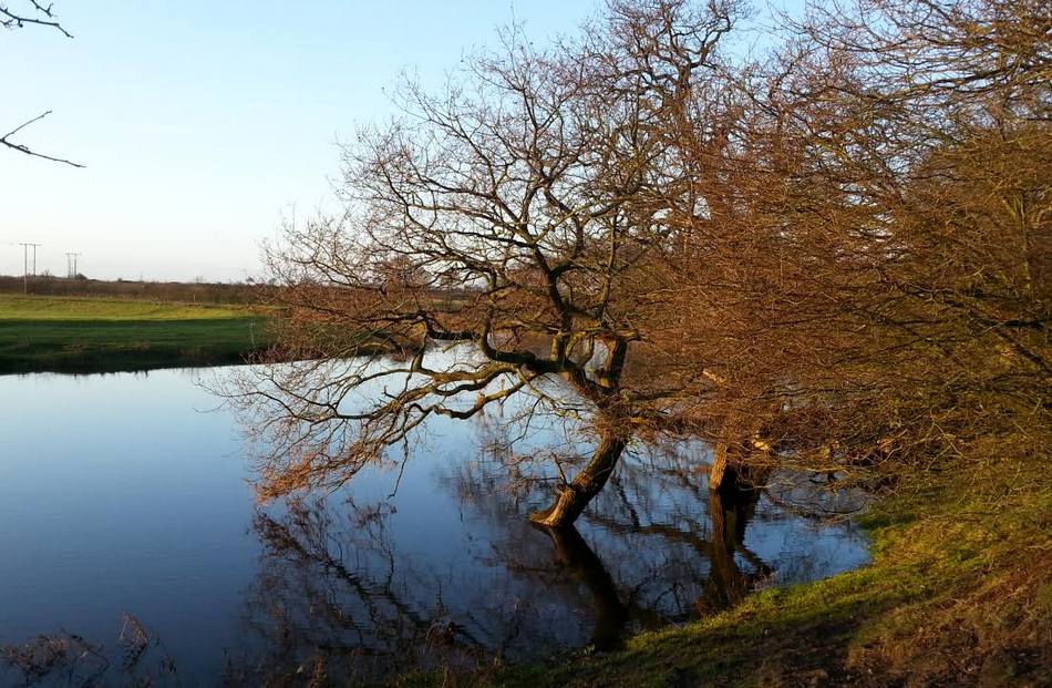 ವಿನತೆ ಶರ್ಮಾ ತೆಗೆದ ಈ ದಿನದ ಚಿತ್ರ