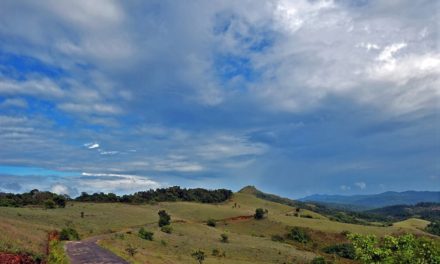 ಮಾಂದಲ್ ಪಟ್ಟಿ ಪರ್ವತಧ್ಯಾನ:ಒಂದು ಅನೂಹ್ಯ ಪ್ರವಾಸ ಕಥನ