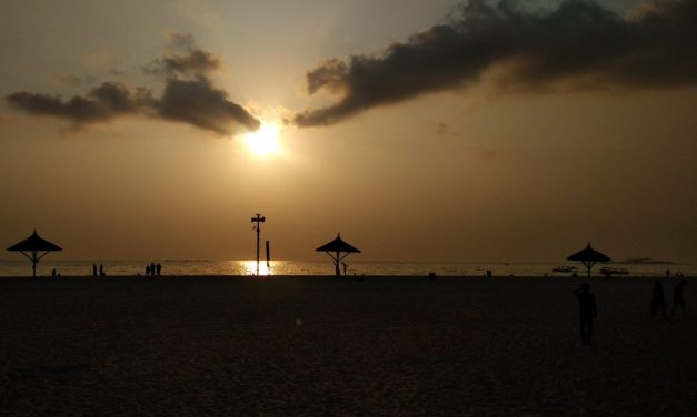 ಸಿ.ಜಿ.ವೆಂಕಟೇಶ್ವರ ತೆಗೆದ ದಿನದ ಚಿತ್ರ.