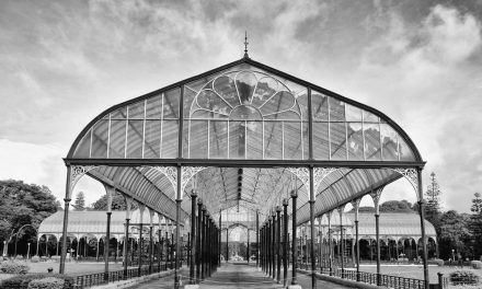 ಕಾರ್ತಿಕ್ ತೆಗೆದ ಈ ದಿನದ ಚಿತ್ರ