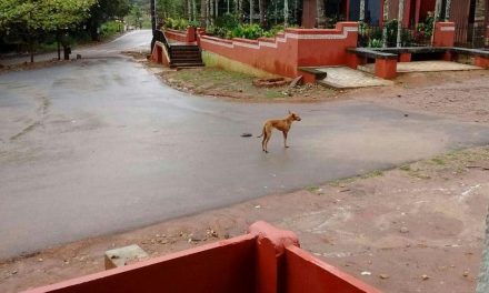 ಧೀರೋದ್ಧಾತ ನಾಯಕ ನಾಯಿಕೆಯರ ಅಸಾಧಾರಣ ಕಥೆಗಳು