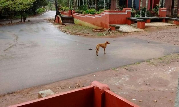 ಧೀರೋದ್ಧಾತ ನಾಯಕ ನಾಯಿಕೆಯರ ಅಸಾಧಾರಣ ಕಥೆಗಳು