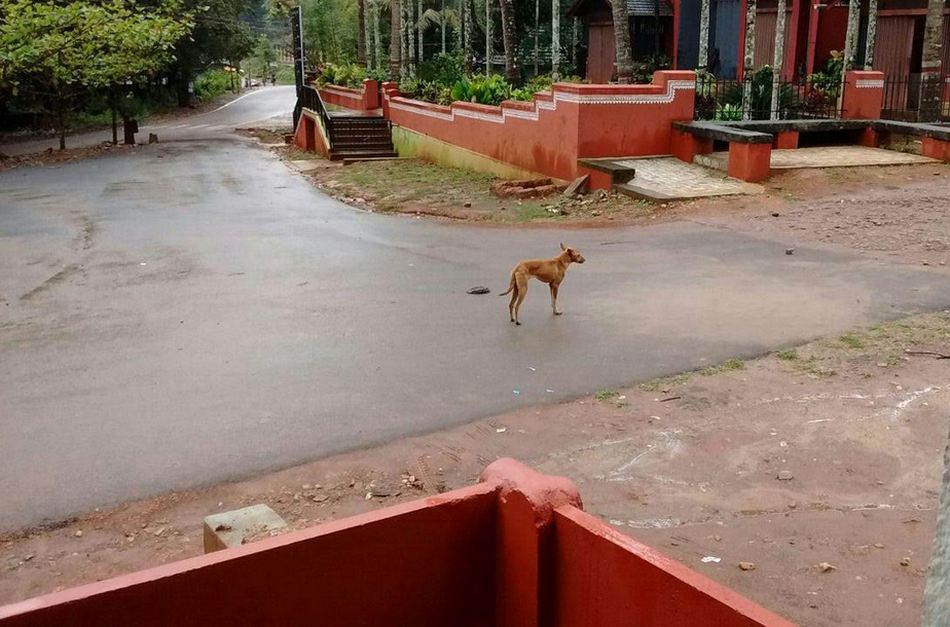 ಧೀರೋದ್ಧಾತ ನಾಯಕ ನಾಯಿಕೆಯರ ಅಸಾಧಾರಣ ಕಥೆಗಳು