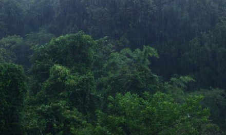 ಕೇಶವ ಡೋಂಗ್ರೆಯವರು ಮಹಾನಗರವನ್ನು ಪರಿತ್ಯಜಿಸಿ ಬಂದ ಪ್ರಸಂಗ