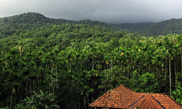 ಸಣ್ಣಗೆ ಹನಿವ ಮಳೆಯ ಸದ್ದಲ್ಲಿ ಕಾಡು ಮತ್ತಷ್ಟು ಮಾತಾಡಿತು